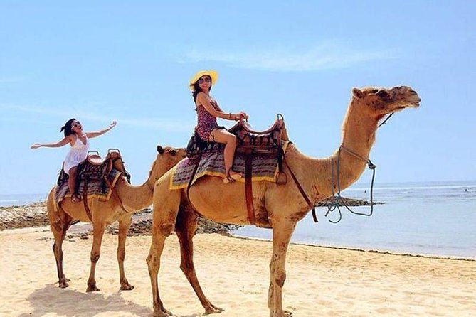 Camel Safari 30 Minutes in White Sand Beach - Inclusions of the Adventure