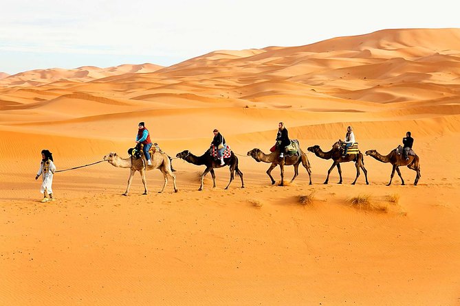 Camel Trekking Dubai With Dune Bashing and Sand Boarding - Camel Trekking Adventure