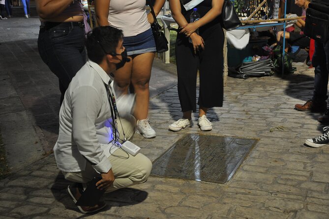 Campeche: Highlights, Museums and Downtown Tour - Tour Inclusions