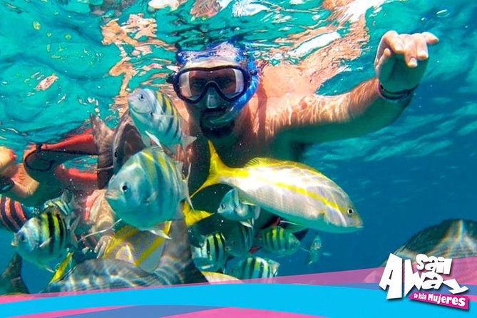 Cancun Adults Only Party Cruise to Isla Mujeres With Open Bar - Inclusions and Itinerary