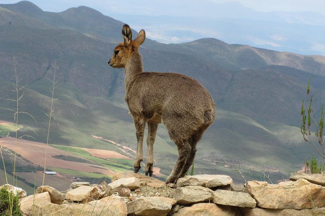 Cango Caves,Swartberg Pass,Prince Albert & Meiringspoort Daytrip - Discovering Prince Albert