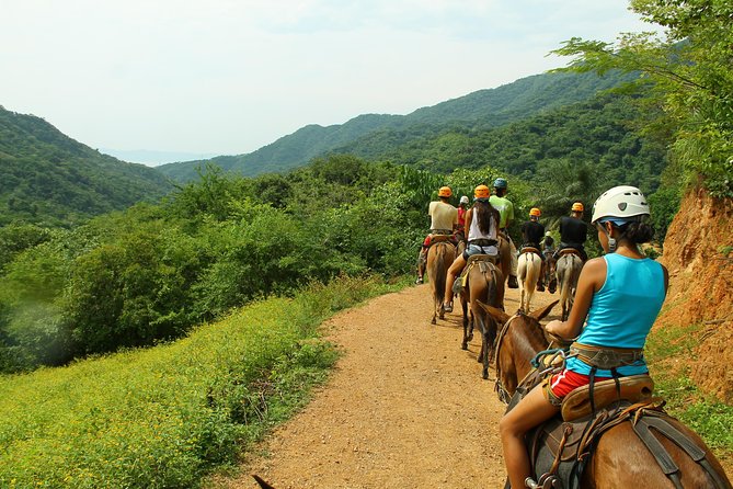 Canopy River Zipline Tour and Mule Ride - Tour Details