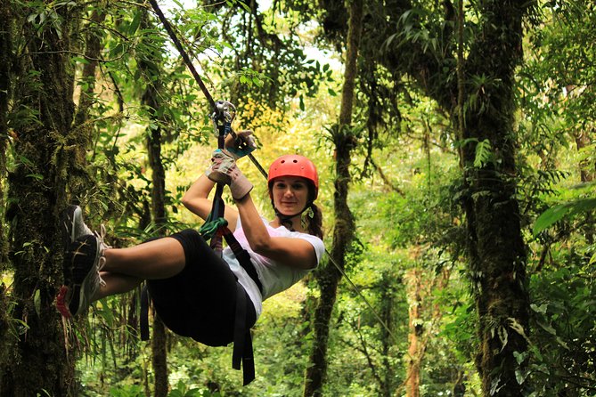 Canopy Zipline & Butterflies From Monteverde - Monteverde Butterfly Gardens