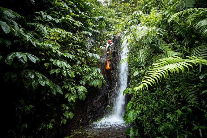Canyoning Bali, Tamata Canyon Adventure - What to Expect on the Adventure