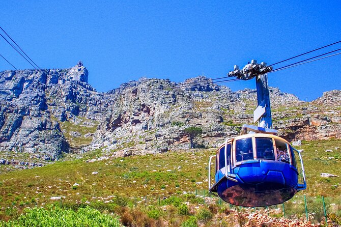 Cape Town Shore Tour: Table Mountain, Penguin & Cape Point - Highlights of Table Mountain