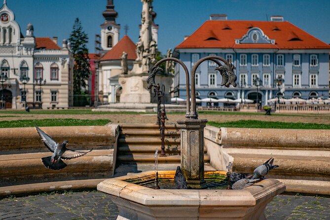 Capture the Most Photogenic Spots of Timișoara With a Local - Tour Details