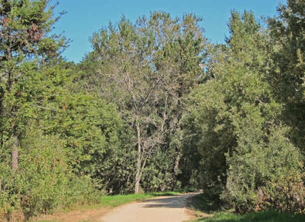 Carmel-by-the-Sea Mission Areas Tour Review - Pricing and Availability