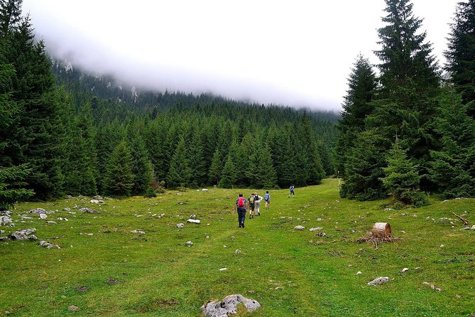Carpathians in Romania: Piatra Craiului National Park With Native Spanish Guide. - Exploring Piatra Craiului National Park