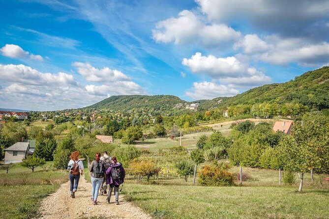 Castle Hiking Tour and Gourmet Adventures - Whats Included in the Experience