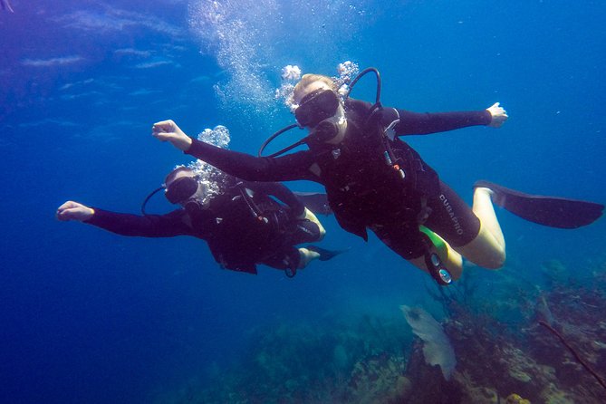 Catalina Island Scuba Diving - Amazing Full Day Tour! - Pickup and Start Time