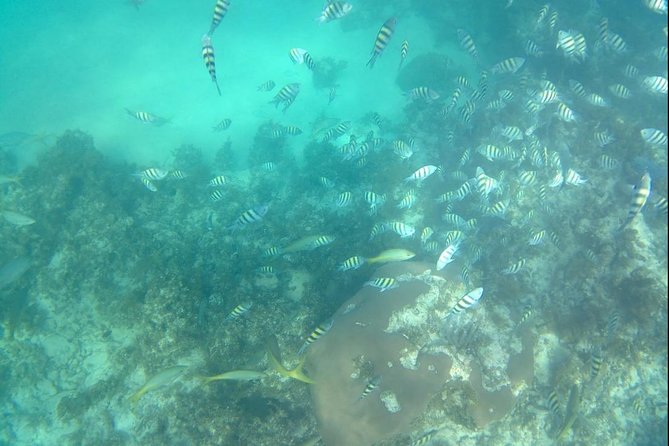 Catamaran Cruise and Beach Lunch - Transportation and Meeting Points