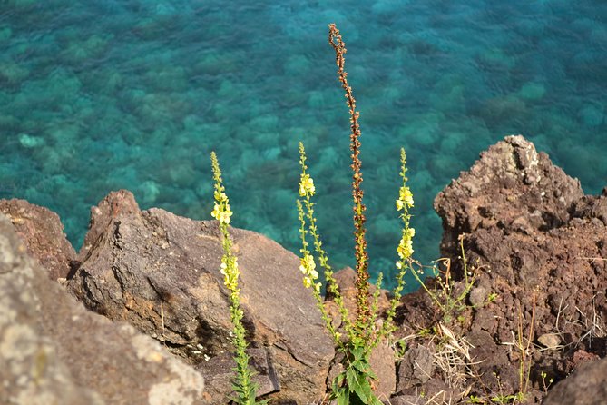Caves and Lava Fields: Half Day Hike - Learning From a Local Cultural Expert