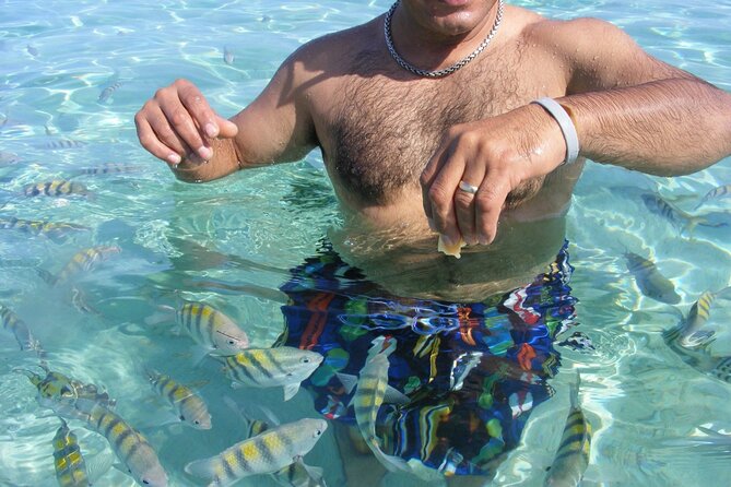 Cayo Arena and Mangroves Tour + Local Pick up and Lunch - Health and Accessibility