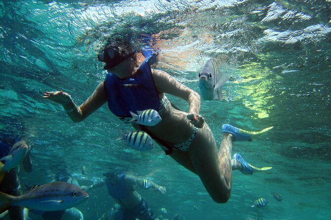 Cayo Paraiso From Puerto Plata City - Inclusions and Pricing