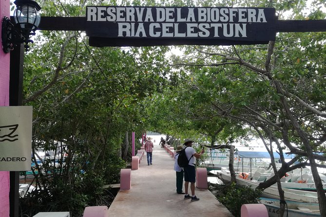 Celestun Biosphere Reserve Tour From Merida - Guest Feedback