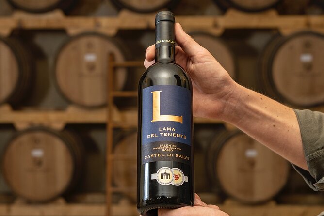 Cellar Visit and Wine Tasting in Salento - Accessibility Features