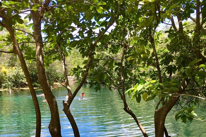 Cenotes Bike Tour With Food - Included Activities and Equipment