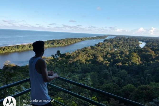 Cerro Tortuguero Tour (Aaron Tours) - Meeting and Pickup Details
