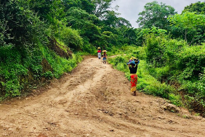 Chagga Villages in Mount Kilimanjaro Cycling Day Trip - Exploring Moshi, Kibosho, and Lyamungo
