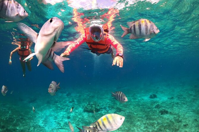 Chankanaab Park All Inclusive Day Pass and Snorkel With Lunch - Snorkeling Experience