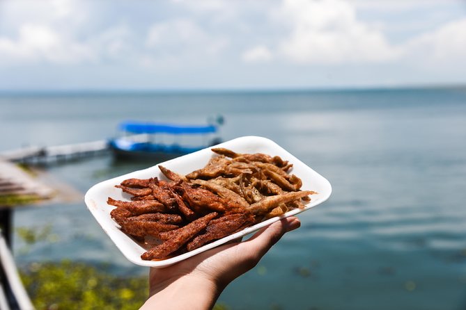 Chapala Ajijic Area Tour From Guadalajara - Tour Highlights and Attractions