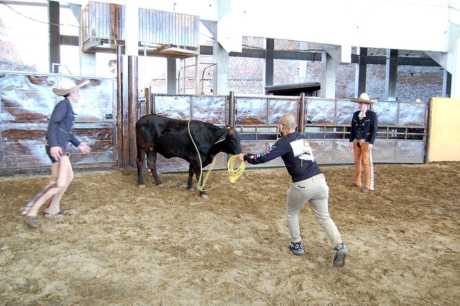 Charreria Heritage Tour Be a Charro for a Day - Inclusions and Activities