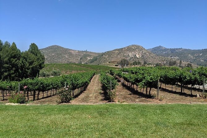 Chauffeured Adventure to Local San Diego Vineyards - Pickup and Accessibility Details