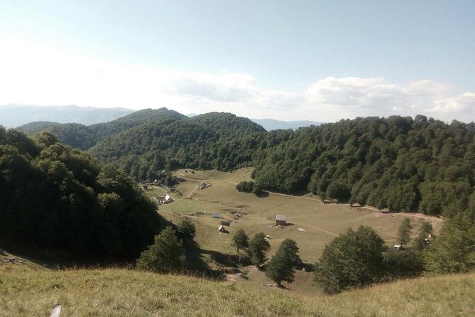 Cheese Farm Tour in the Katun - Exploring the Cheese Farm
