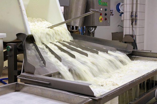 Cheesemaker for a Day & Visit to the Dairy - Whats Included