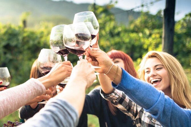 Chianti Classico Wine Tour and Tasting - Location and Accessibility