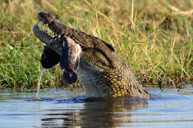 Chobe Day Trip - Transportation and Accessibility