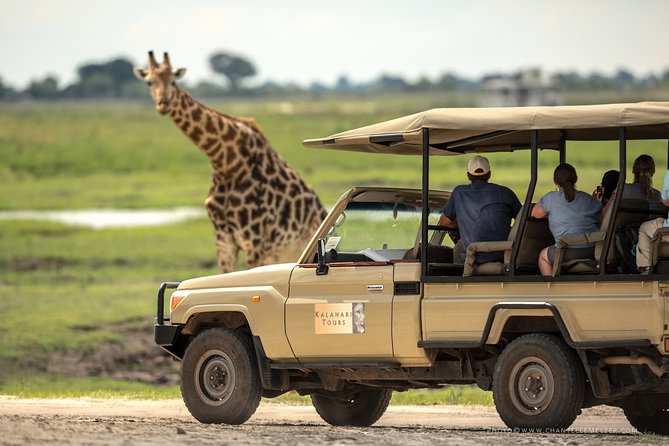 Chobe Day Trip, Botswana - Tour Highlights and Activities