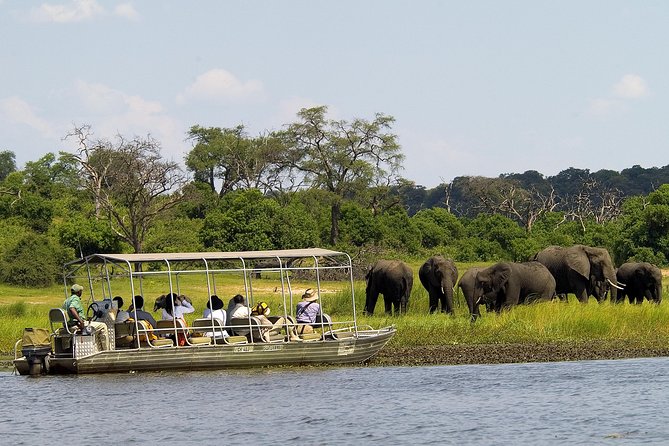 Chobe Full Day Safari Trip - Wildlife Encounter Highlights