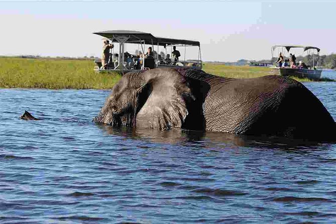 Chobe National Park 4X4 Day Safari and River Cruise - Wildlife Spotting Opportunities