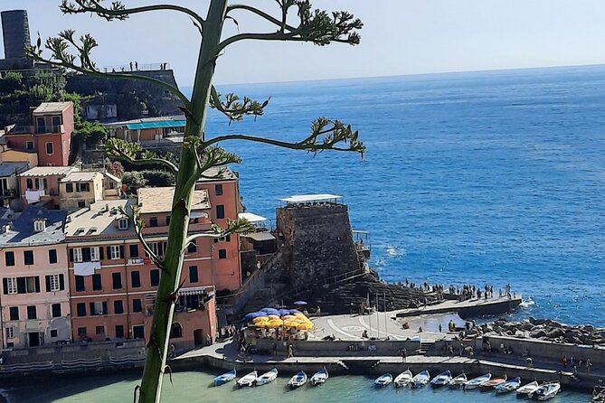 Cinque Terre Semi-Private Day Tour From Montecatini Terme - Inclusions and Pricing Details