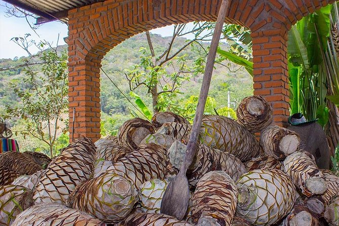 City and Tequila Tour in Puerto Vallarta - Health and Safety