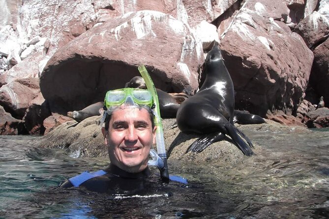 City Tour Cabo San Lucas and San Jose Del Cabo - Location and Pricing