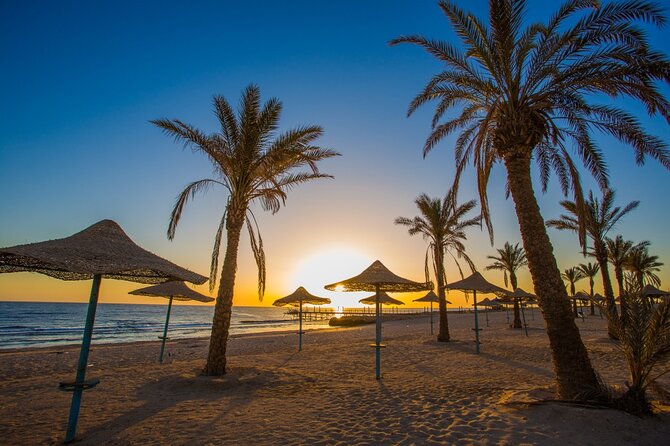 City Tour Hurghada Top Attractions With Private Guide - Discovering Hurghada Marina Highlights