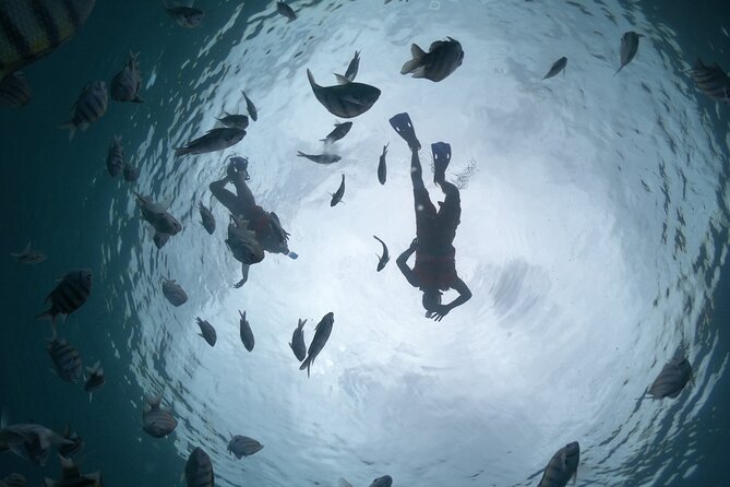 Clear Boat & Snorkel Cozumel Tour With Drinks - Tour Experience