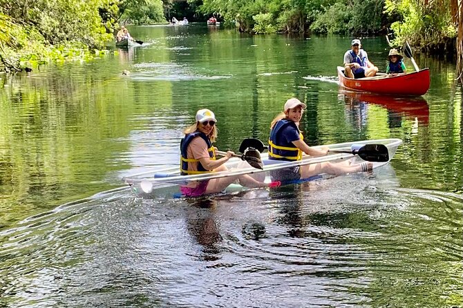 Clear Canoeing and Wildlife Sightseeing at Silver Springs - Wildlife Encounter Opportunities