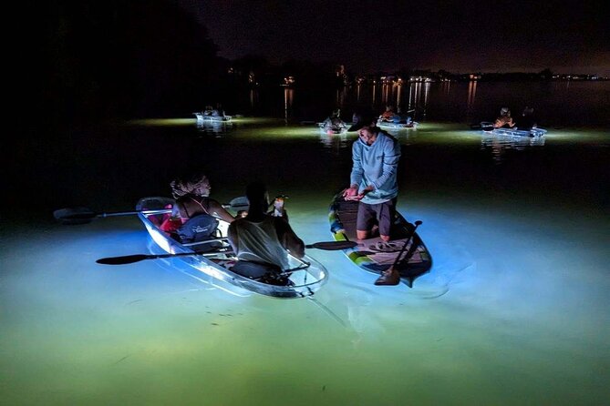 Clear Kayak LED Night Tour Review - Booking and Logistics
