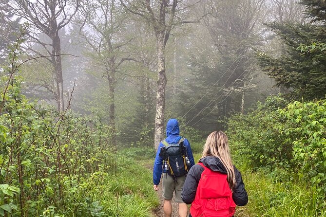 Clingmans Dome Hike - Hiking the Appalachian Trail