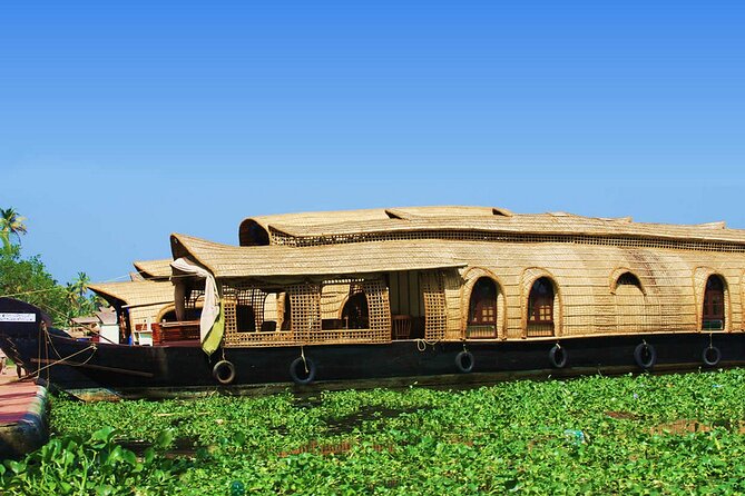 Cochin Shore Excursion: Backwater Houseboat Tour and Chinese Nets - Highlights of the Experience