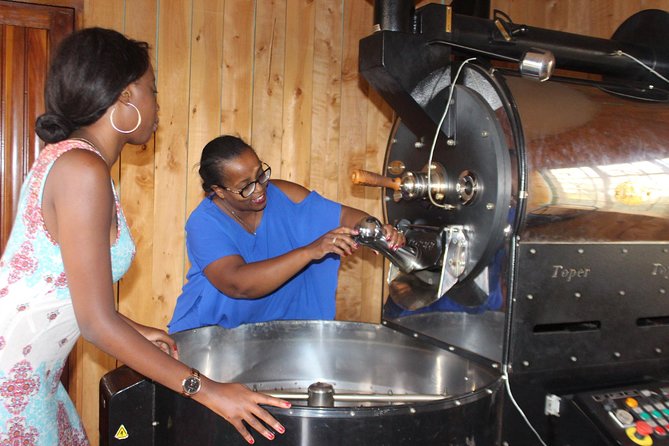 Coffee Farm Tour, Coffee Roasting and Tasting Experience - Coffee Tree Growth and Cultivation