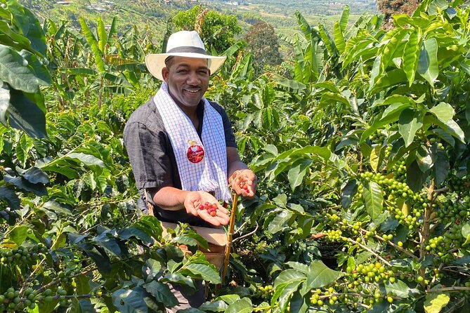 Coffee Tour - Mountains, Delicious Cups and Smiles - Tasting the Regions Finest Brews