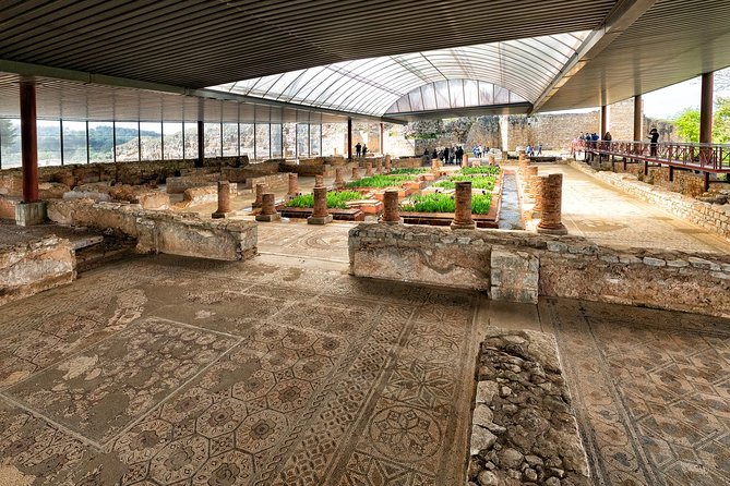 Coimbra Private Conimbriga Ruins and Museum Tour - Traveler Support