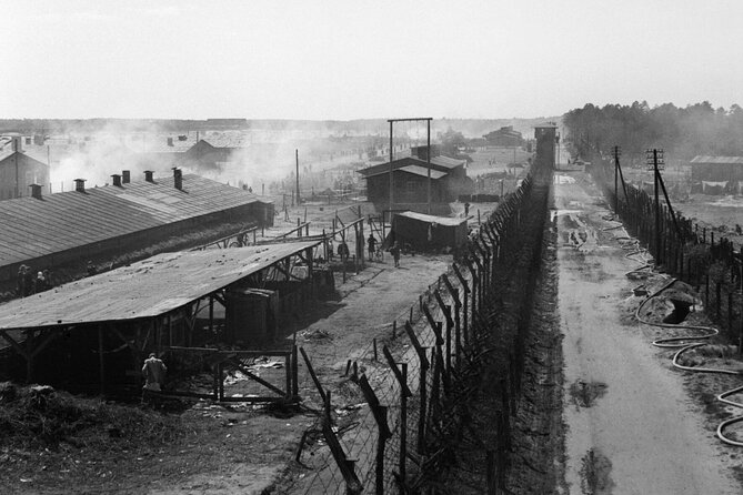 Cologne: Bergen-Belsen Concentration Camp Private 1-Day Tour - Accessibility and Participation