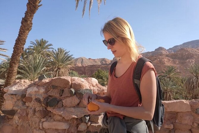 Colored, Closed, Hamata, White, Canyons, and Khudra Spring Oasis - Highlights of the Canyons