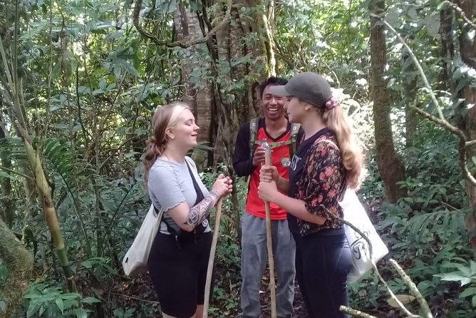Combine of Tamblingan Waterfall and Twin Lake Tour - Itinerary Details