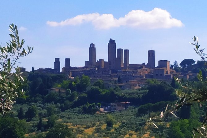 Cooking Class in a Real Tuscan Farmhouse - Traditional Recipes and Techniques